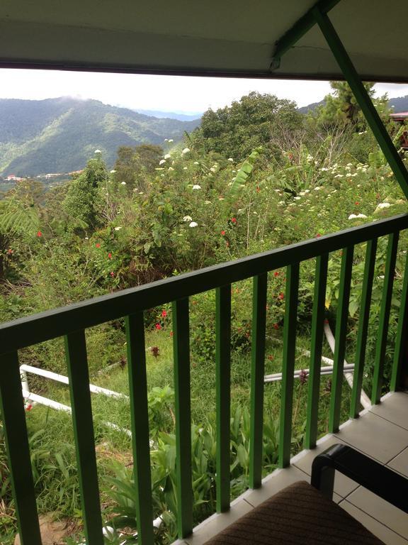 D'Villa Rina Ria Lodge, Kinabalu Park, Kundasang Bundu Tuhan Eksteriør billede