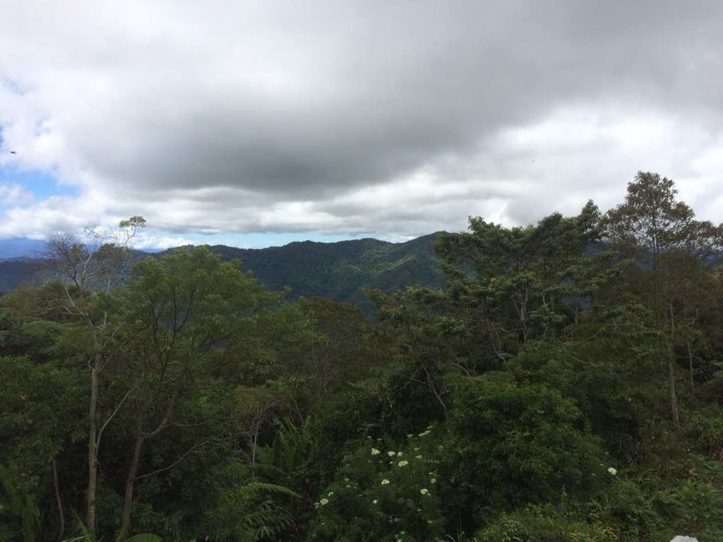 D'Villa Rina Ria Lodge, Kinabalu Park, Kundasang Bundu Tuhan Eksteriør billede