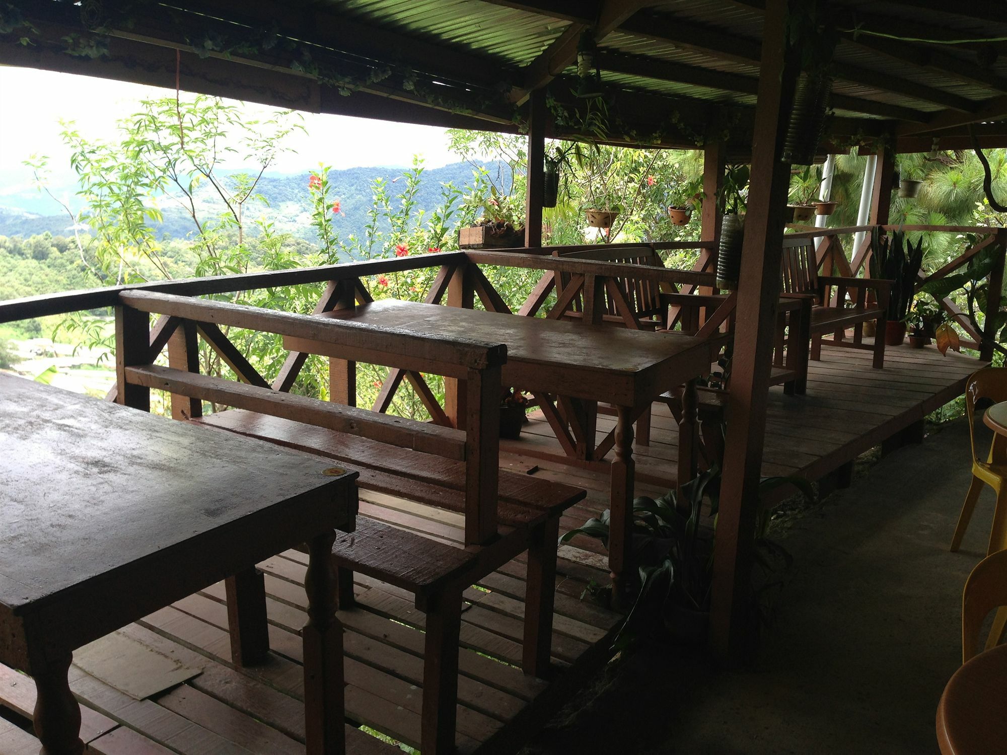 D'Villa Rina Ria Lodge, Kinabalu Park, Kundasang Bundu Tuhan Eksteriør billede